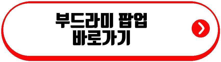 부드라미 팝업