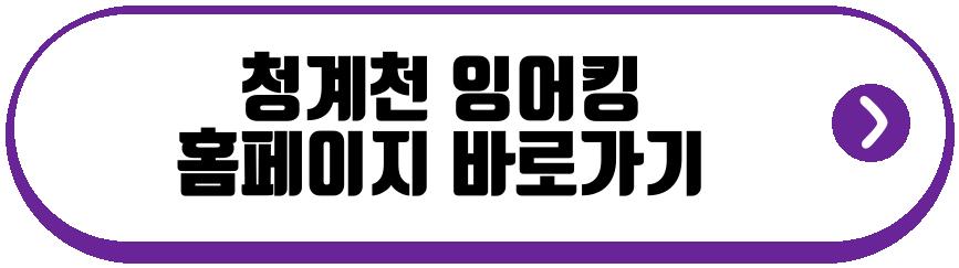 청계천 잉어킹