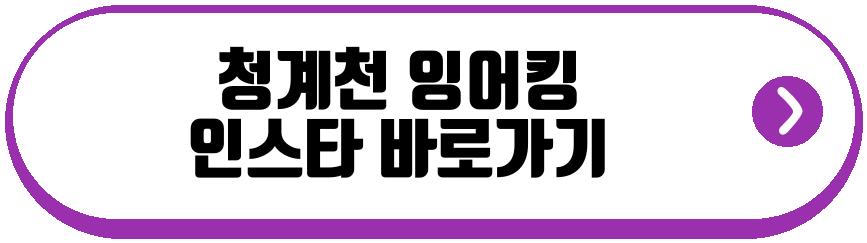 청계천 잉어킹