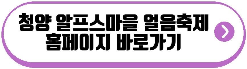 청양 알프스마을 얼음축제