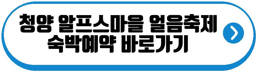 청양 알프스마을 얼음축제