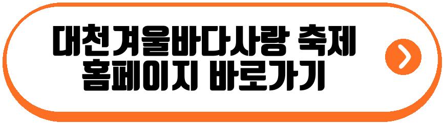 대천겨울바다사랑 축제
