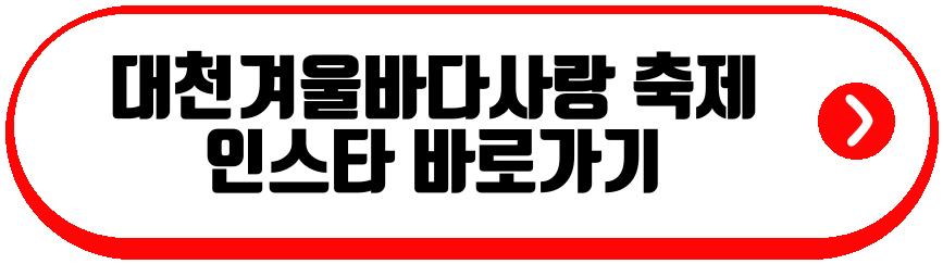 대천겨울바다사랑 축제