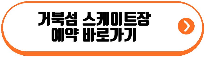 거북섬 스케이트장