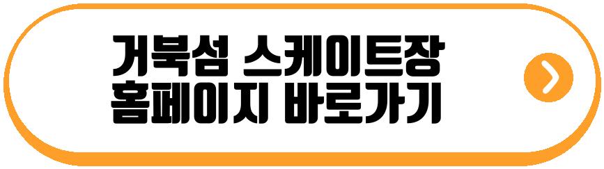 거북섬 스케이트장