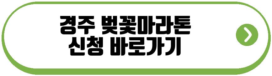 경주 벚꽃마라톤