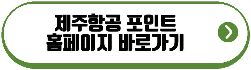 제주항공 포인트