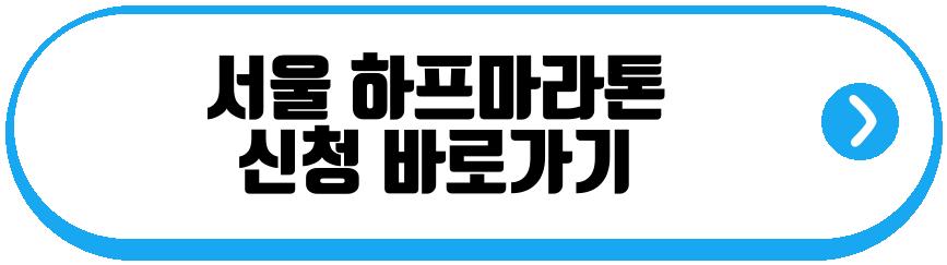 서울 하프마라톤