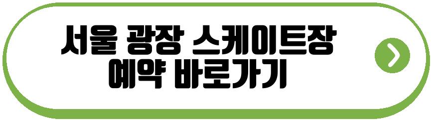 서울 광장 스케이트장