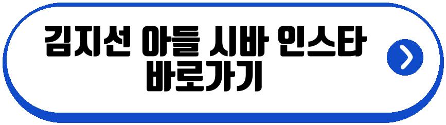 김지선 아들 시바