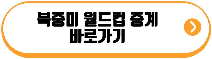 월드컵 일정