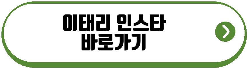 이태리