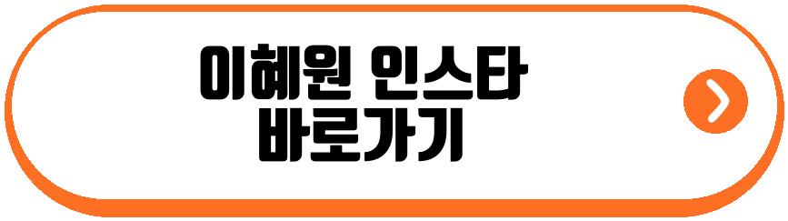 안정환 딸