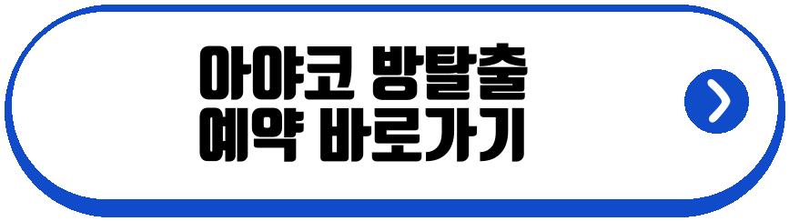 아야코 방탈출