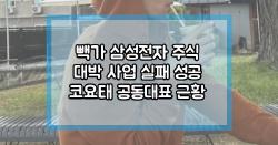 빽가 삼성전자 주식 대박 사업 실패 성공 코요태 공동대표 근황