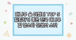 대나무 숲 여행지 TOP 5 힐링하기 좋은 전국 대나무 길 명소와 인생샷 스팟