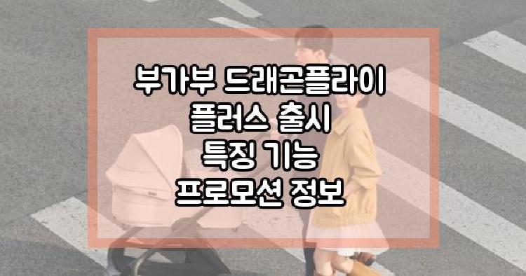 부가부 드래곤플라이 플러스