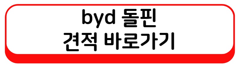 byd 돌핀