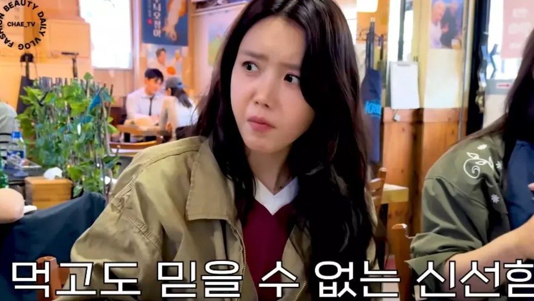 채정안 프로필