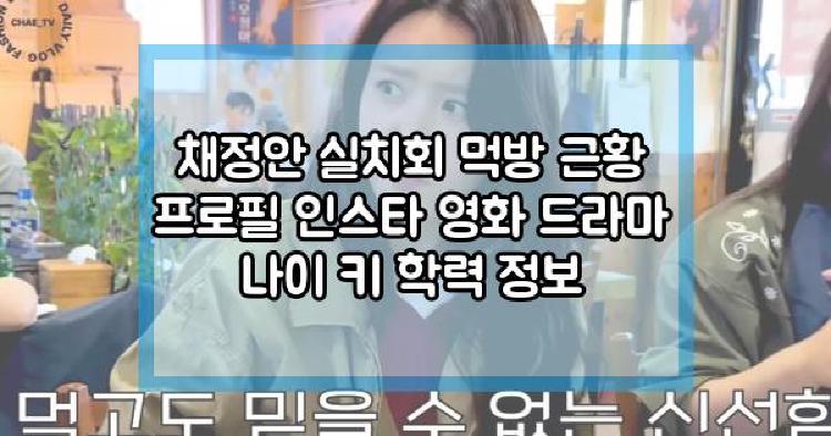 채정안 프로필