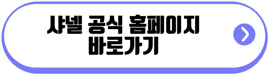 샤넬 2026 클래식백 가격인상