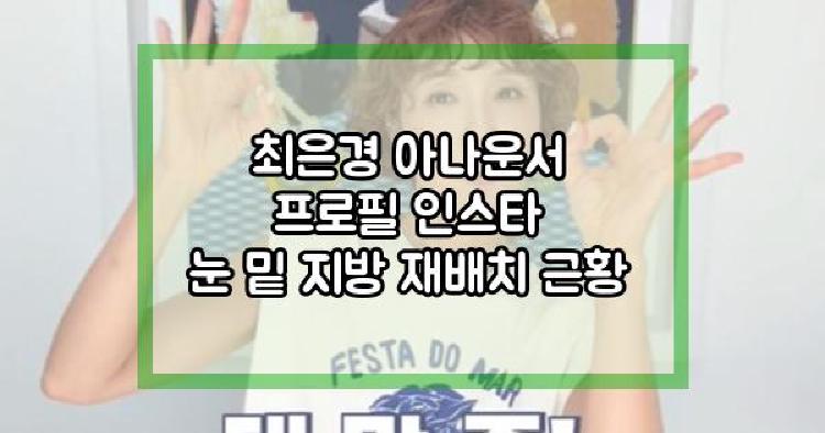 최은경 눈 밑 지방 재배치