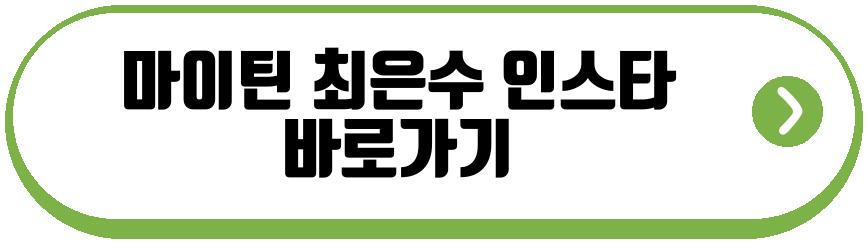 마이틴 최은수