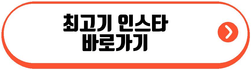 최고기 이주은 결혼