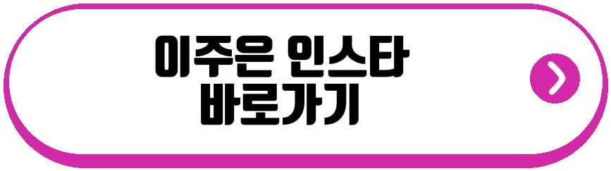 최고기 이주은 결혼