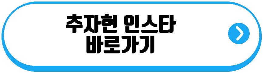 추자현 우효광
