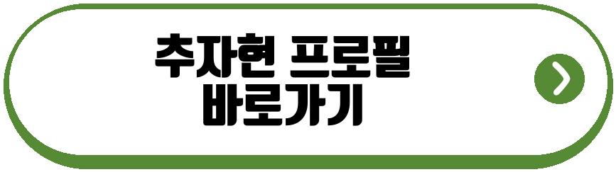 추자현 우효광