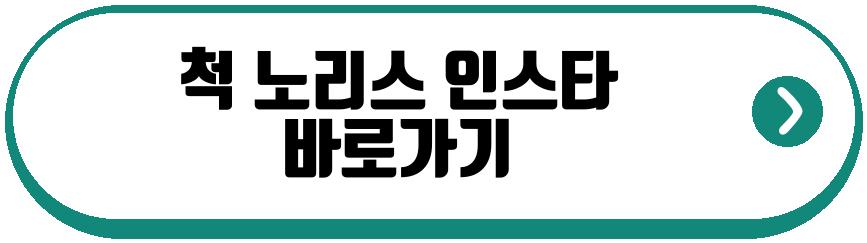 척 노리스