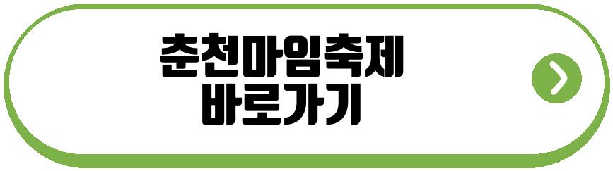 춘천마임축제