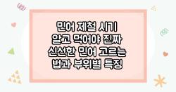 민어 제철 시기 알고 먹어야 진짜 신선한 민어 고르는 법과 부위별 특징