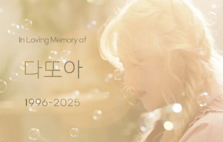 다또아 프로필