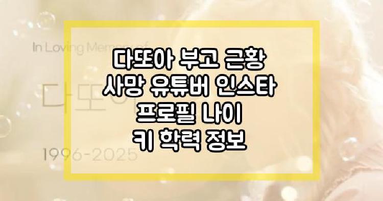 다또아 프로필