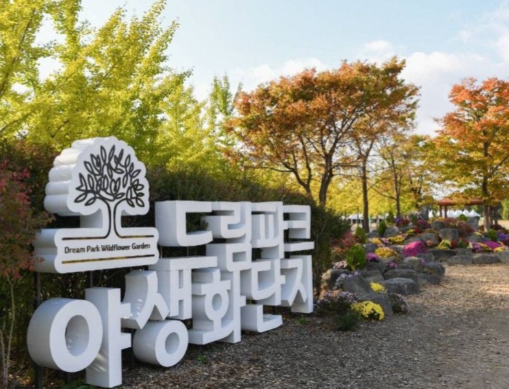 드림파크 야생화단지