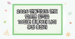 2026 전동킥보드 면허 없으면 범칙금 10만원 종류부터 나이 규정 총정리