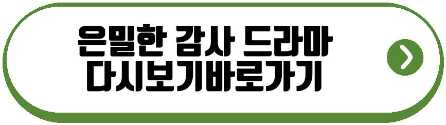 은밀한 감사 드라마