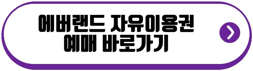 에버랜드 자유이용권