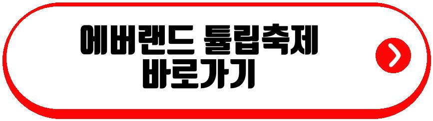 에버랜드 튤립축제