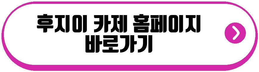 후지이 카제 내한