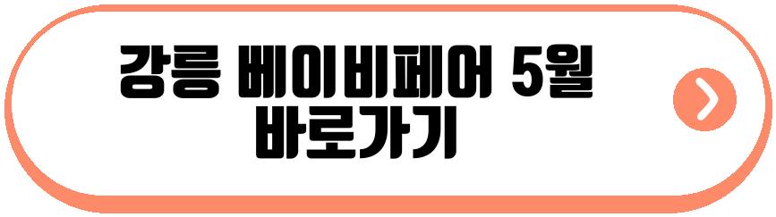 강릉 베이비페어 5월