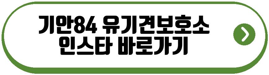 기안84 유기견보호소
