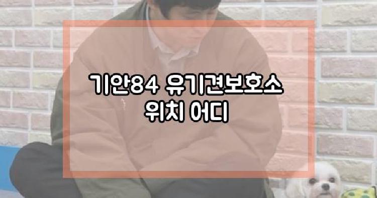기안84 유기견보호소