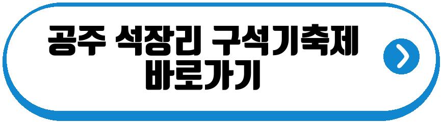 공주 석장리 구석기축제