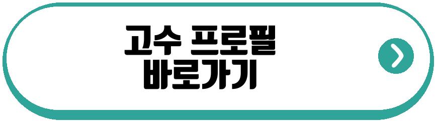 고수 와이프