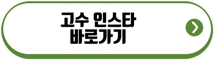 고수 와이프