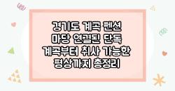 경기도 계곡 펜션 마당 연결된 단독 계곡부터 취사 가능한 평상까지 총정리