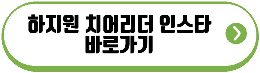 하지원 치어리더